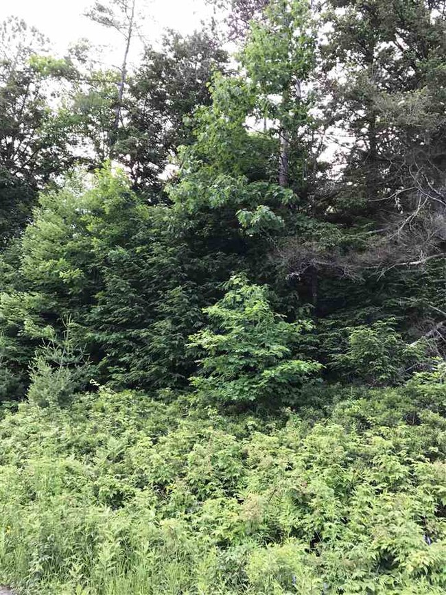 0 Perch Pond Rd unit 4612646, Lisbon, NH 03585 - photo 4