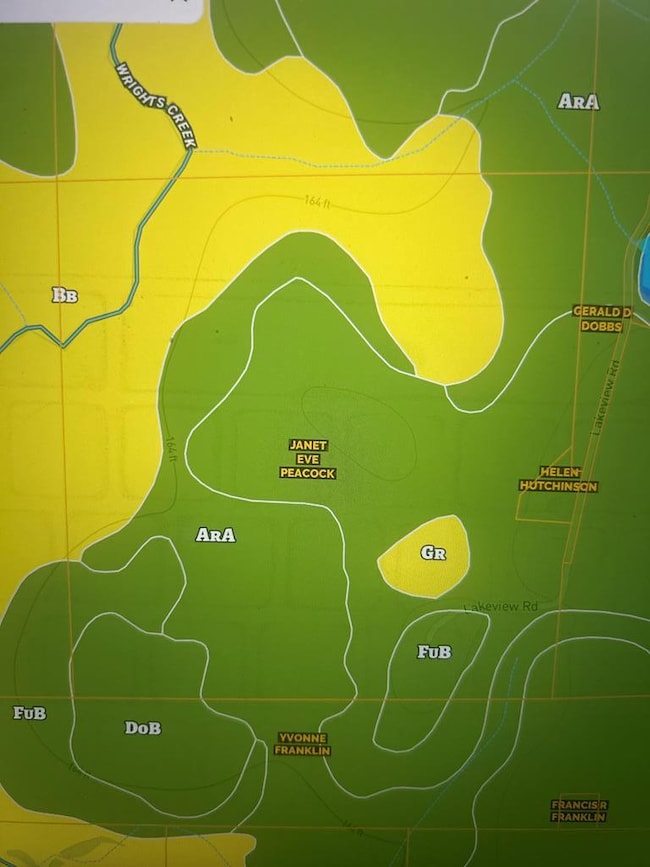 923 Lakeview Rd (159+-Ac), Slocomb, AL 36375 - photo 3