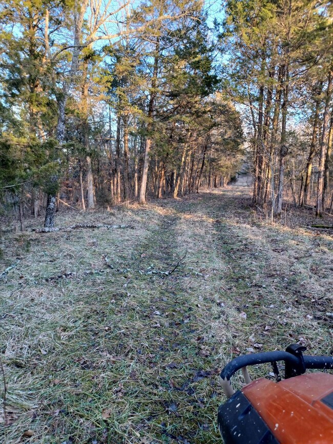 4699 Talmage Mayo Rd, Harrodsburg, KY 40330 - photo 5