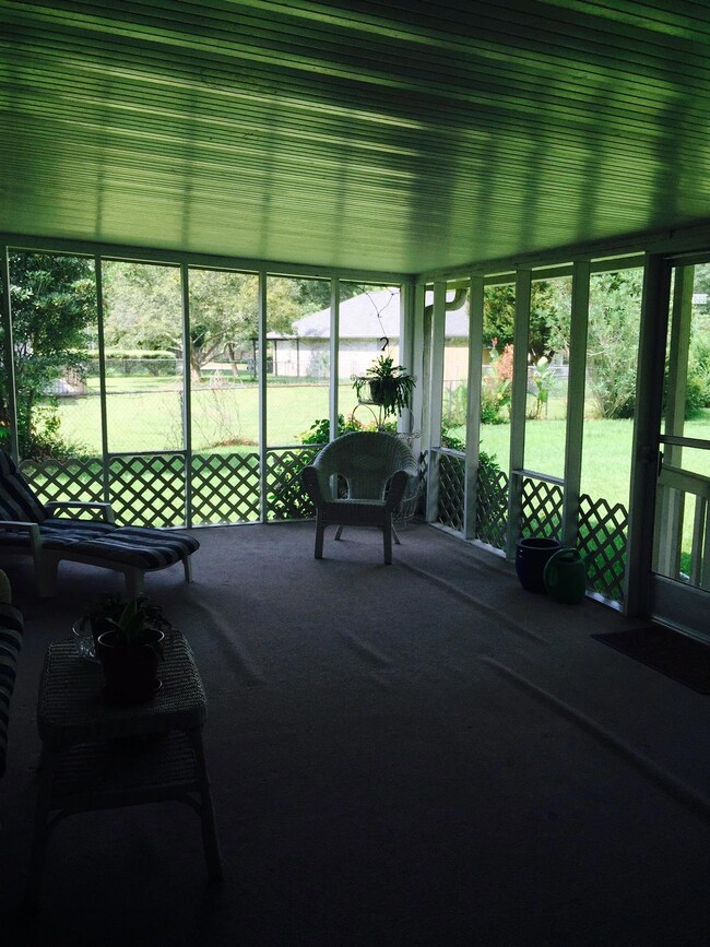 Back patio.1