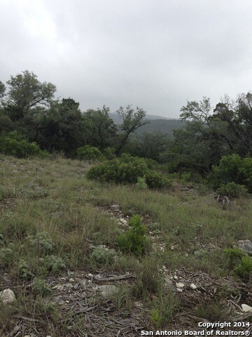 8714 Terra Mont Way, San Antonio, TX 78255 - photo 7