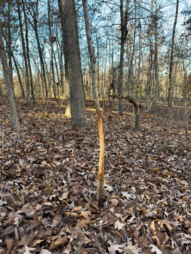 0 Pleasant Run Rd unit 25048737, Mammoth Spring, AR 72554 - photo 7