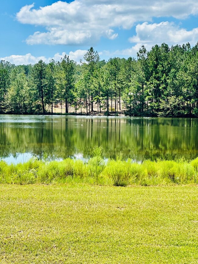 560 Highridge Rd, Broxton, GA 31519 - photo 3