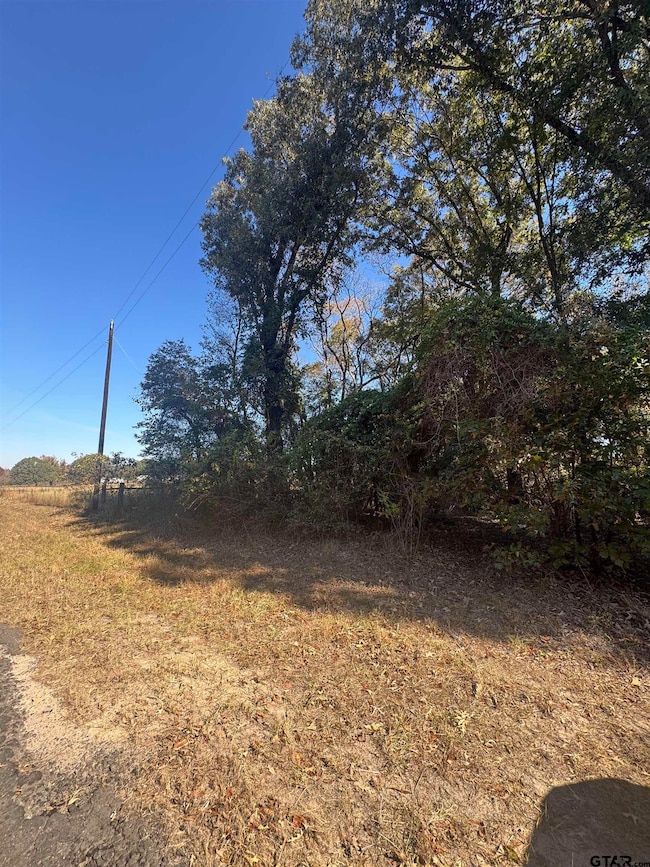 TBD County Road 3245, Quitman, TX 75783 - photo 2