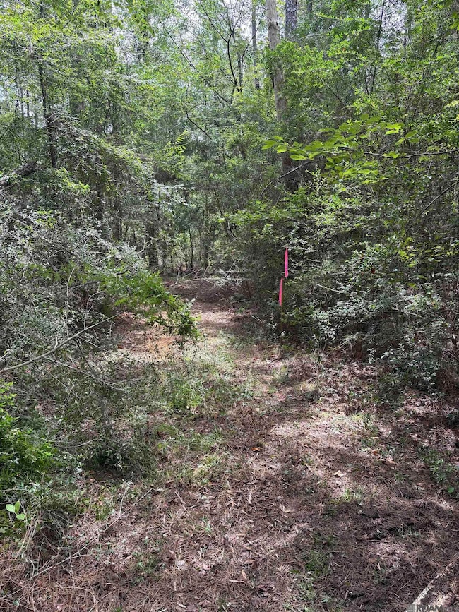 83194 Isabel Swamp Rd, Bush, LA 70431 - photo 7