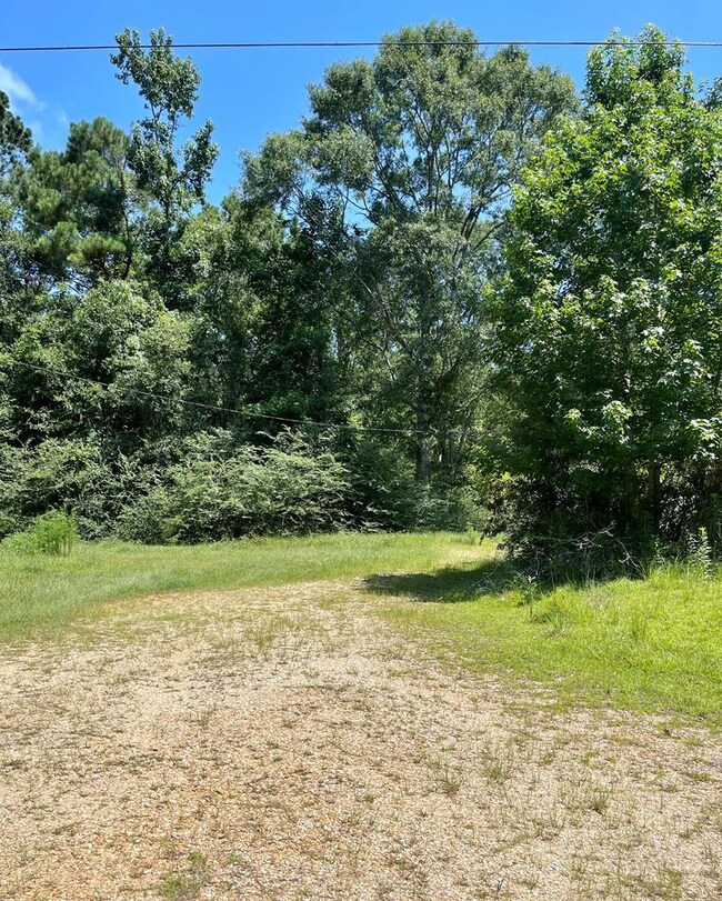 101 Will Thompson Rd, Picayune, MS 39466 - photo 5