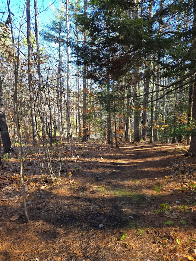 31 Sand Rd, Naples, ME 04055 - photo 4