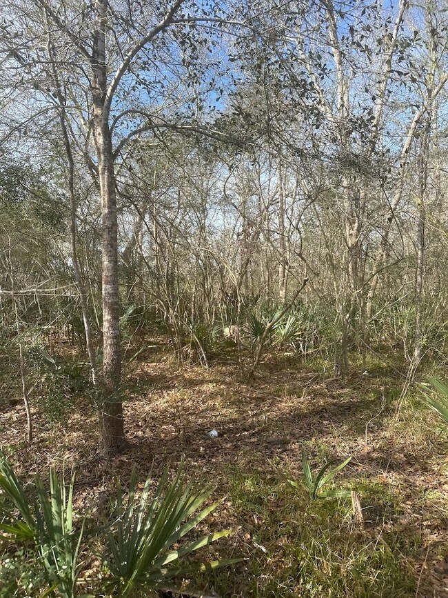 0 County Road 510u, Brazoria, TX 77422 - photo 2