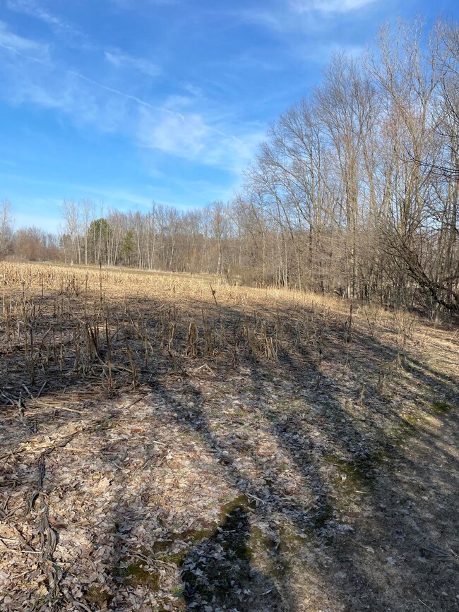 0 48th Ave unit 25050708, Lawrence, MI 49064 - photo 3