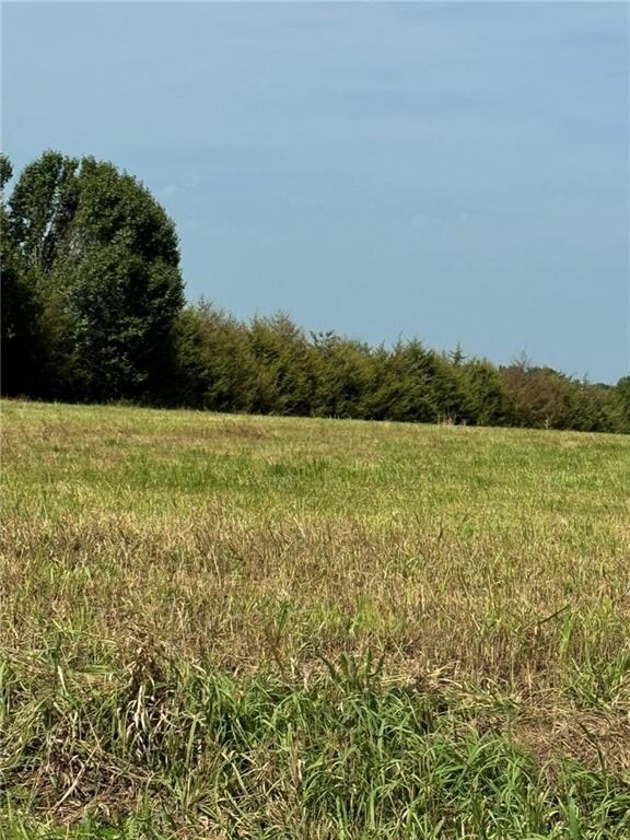 0 Lone Star Rd unit HMS2565805, Osawatomie, KS 66071 - photo 4