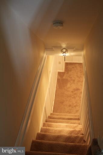 40 54th St SE, Washington, DC 20019 - photo 5