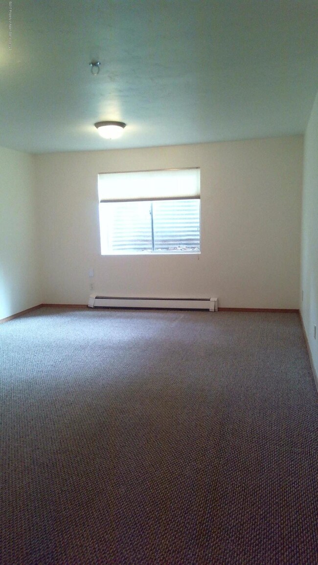 Lower Level Bedroom/Rec Room