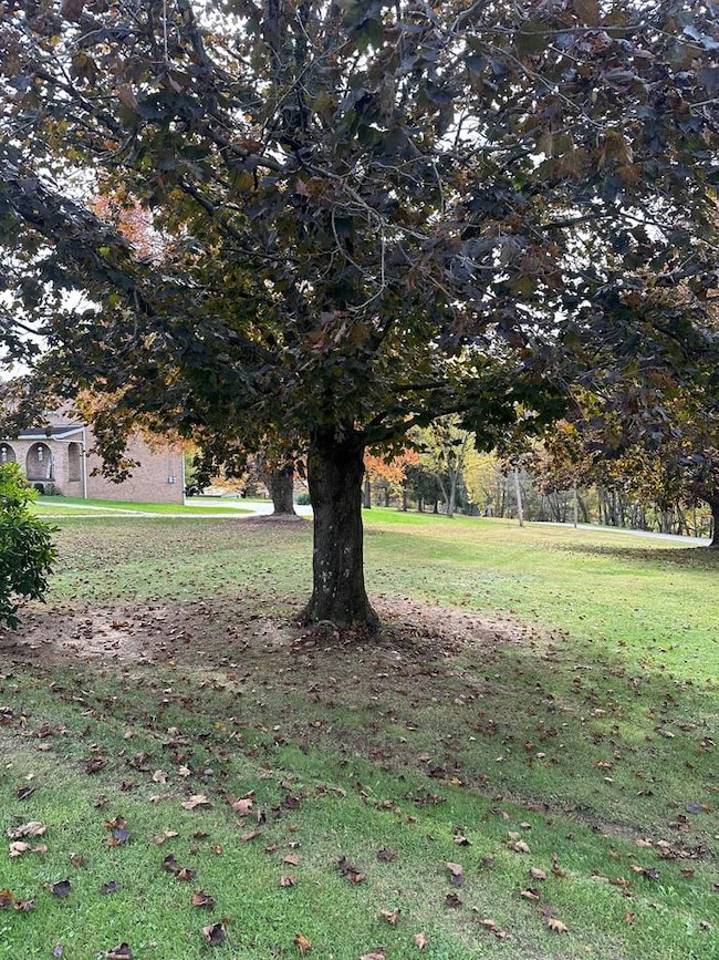 219 Aztec Ln, New Cumberland, WV 26047 - photo 6