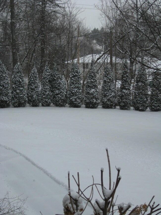 811 Topinabee Rd, Niles, MI 49120 - photo 4