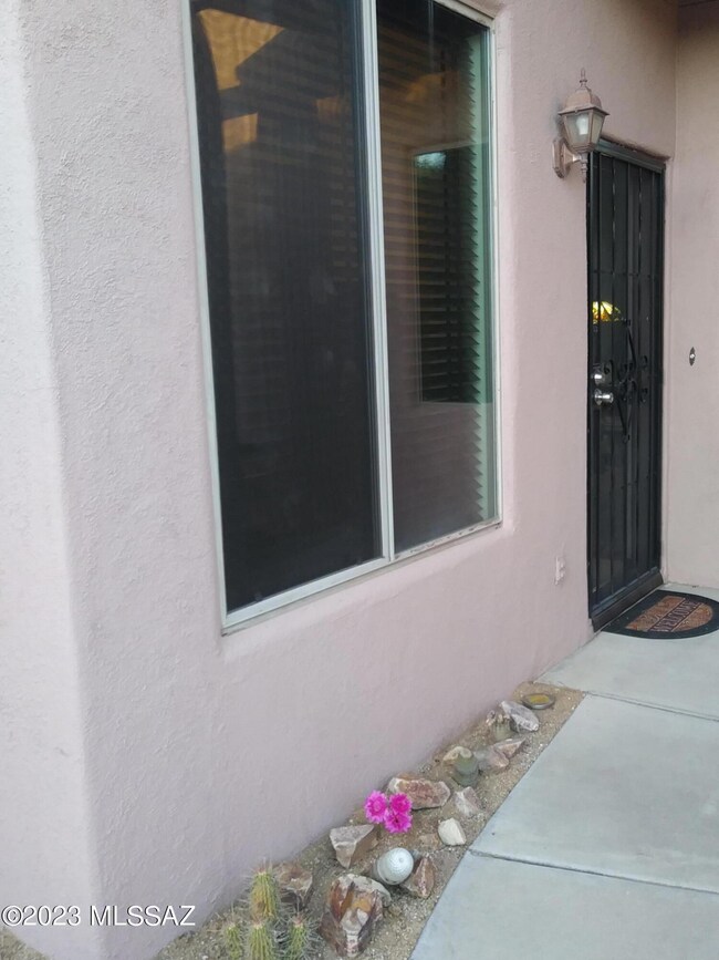Front walkway and door