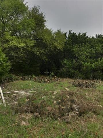 21007 Woodlawn Ct, Whitney, TX 76692 - photo 5