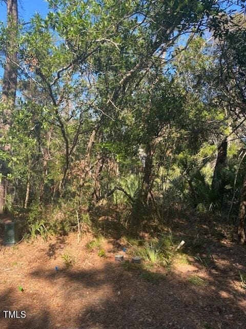 9 Laurel Cherry Ct, Bald Head Island, NC 28461 - photo 2