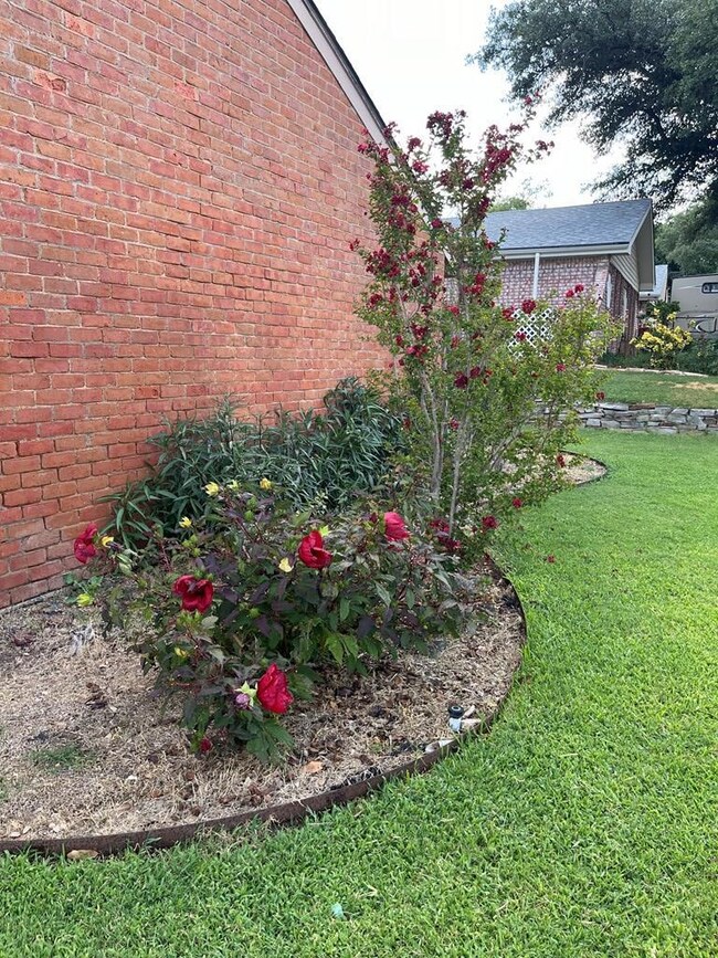 Beautiful St Augustine grass /sprinkler system.