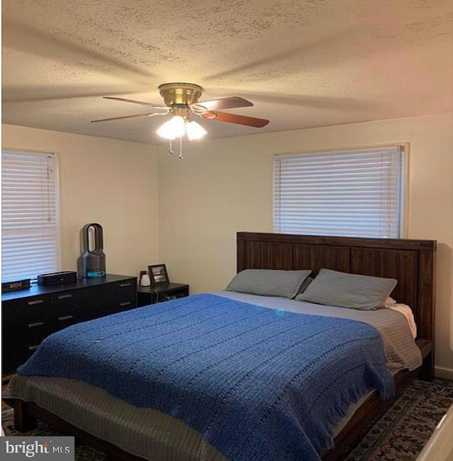 1606 Concord Place, Alexandria, VA 22308 - photo 6