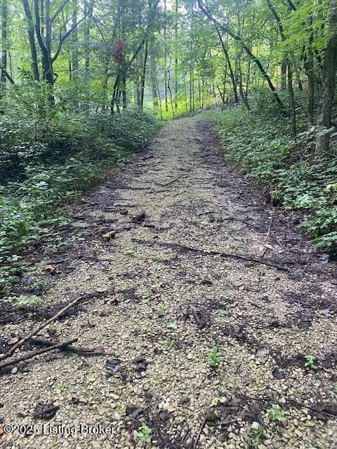 37 Conoloway Bay Dr, Clarkson, KY 42726 - photo 4