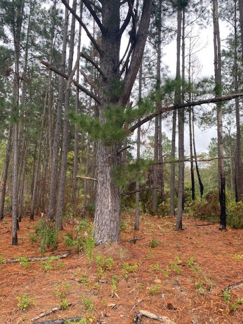 00 Bank Lodge Dr unit 9, Douglas, GA 31535 - photo 3