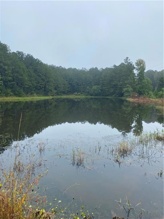 0 Williford Rd unit 163405, Ball, LA 71405 - photo 4