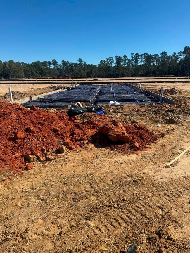 11459 Billy Bobs St, Montgomery, TX 77316 - photo 6