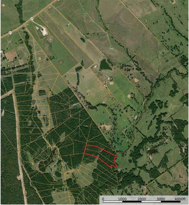 10423 State Highway 21 W, Crockett, TX 75835 - photo 4