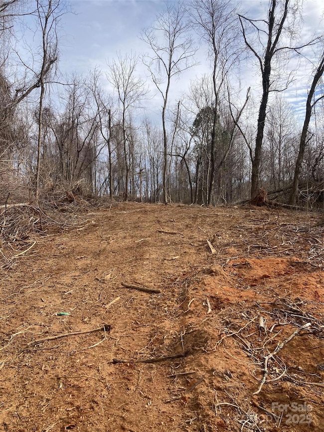 1638 Continental Divide Dr unit 1, Flat Rock, NC 28731 - photo 4