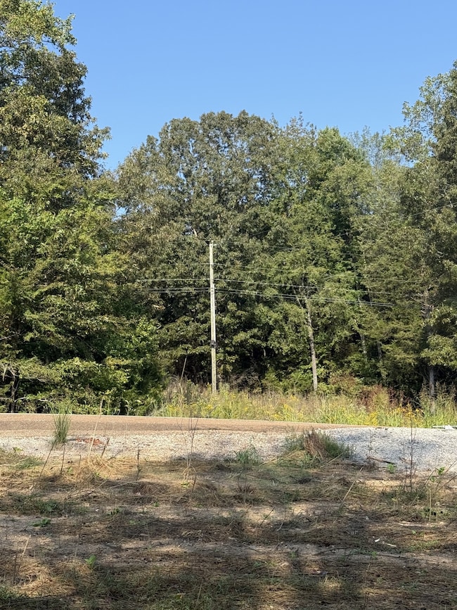 0 Waynesboro Hwy unit RTC2991221, Waynesboro, TN 38485 - photo 3