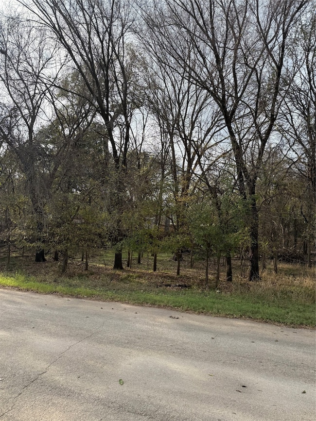 7114 Huron Trail, Weatherford, TX 76087 - photo 2