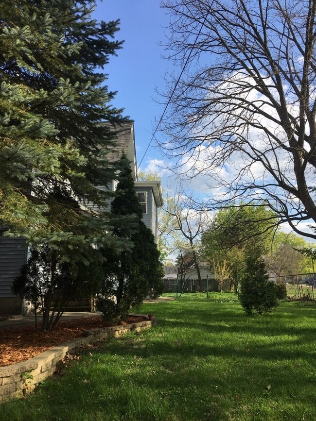 569 Ann St, Elgin, IL 60120 - photo 6