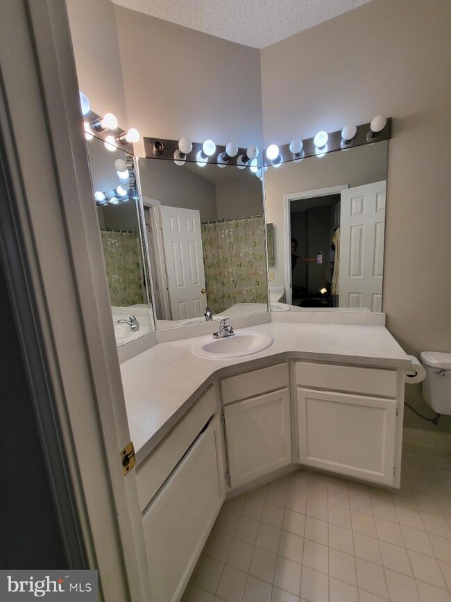 13070 Autumn Woods Way unit 101, Fairfax, VA 22033 - photo 4
