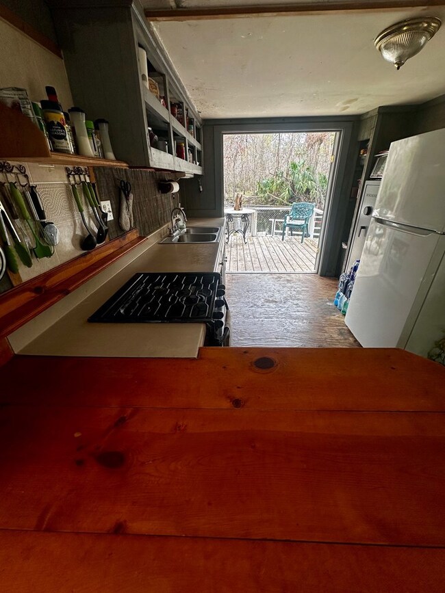 1724 River Rd, Steinhatchee, FL 32359 - photo 6