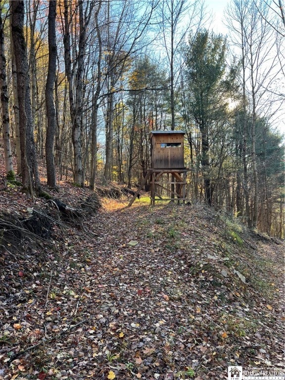 0 Co Rd 8 unit R1653662, Wirt, NY 14739 - photo 7