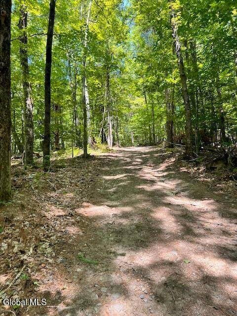 L7.41 Summit Lake Rd unit l7, Argyle, NY 12809 - photo 4