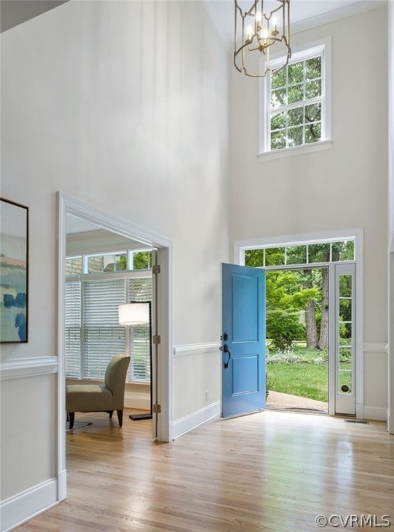 Entrance foyer featuring a high ceiling and light