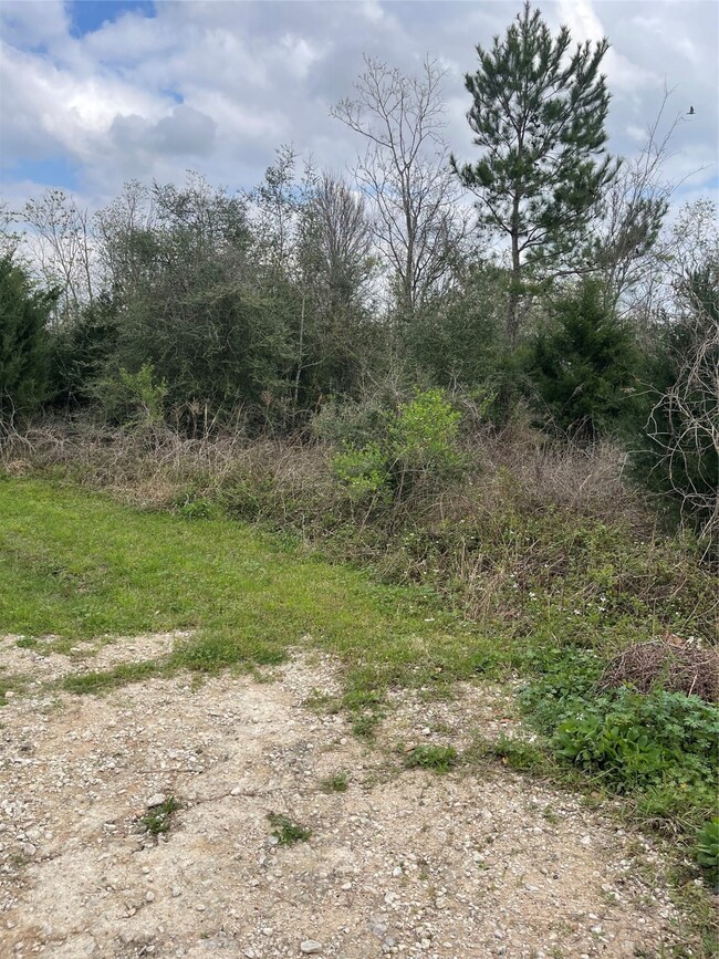 TBD Ibis Rd, Hockley, TX 77447 - photo 5