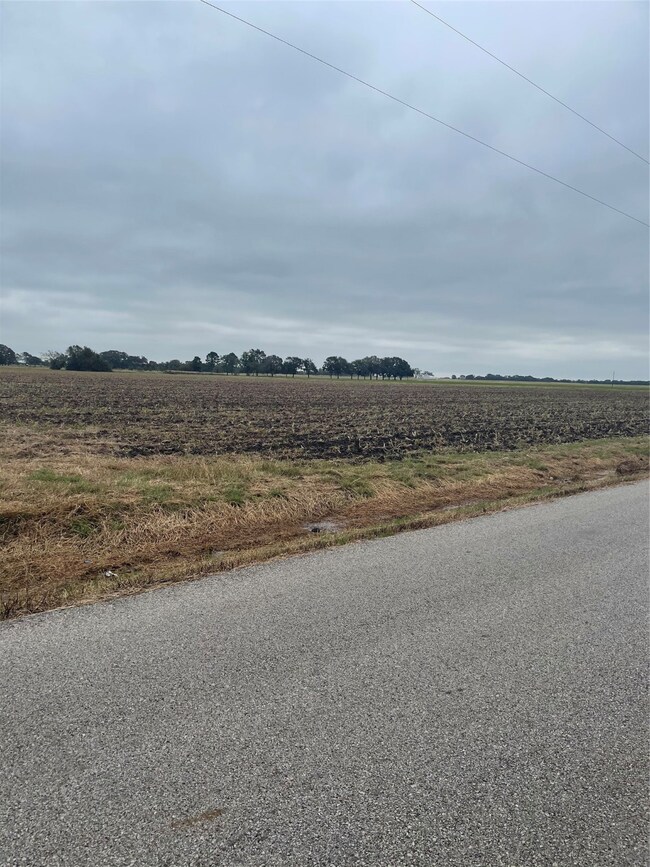 4214 Engle Rd, East Bernard, TX 77435 - photo 2