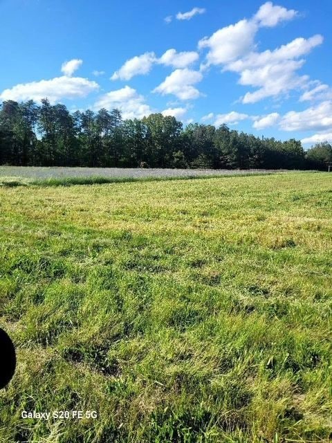 6645 Deer View Rd, Gretna, VA 24557 - photo 4