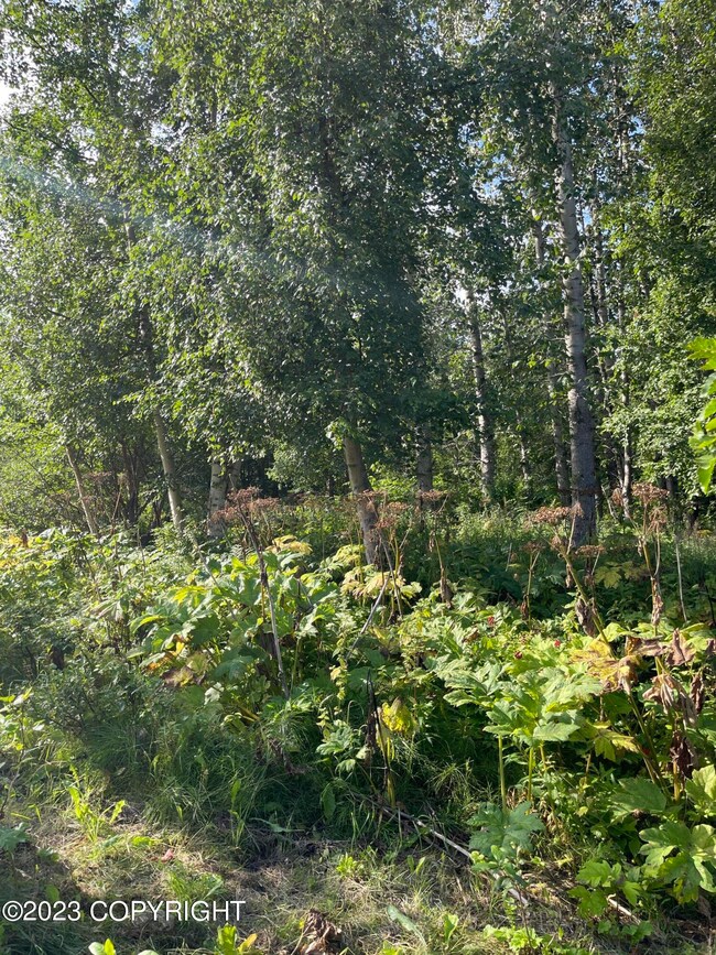 17100 Owens Dr, Lazy Mountain, AK 99645 - photo 5