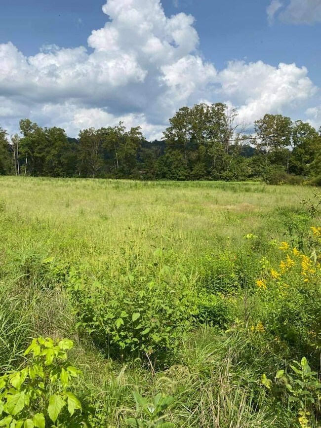 9999 Chestnut Branch Rd, Manchester, KY 40962 - photo 7