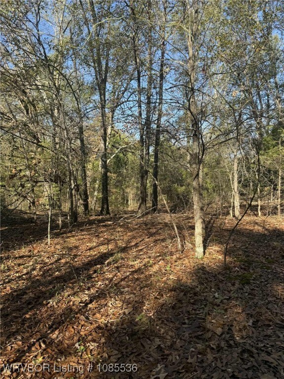 Tract 3 2nd St, Fort Coffee, OK 74959 - photo 7