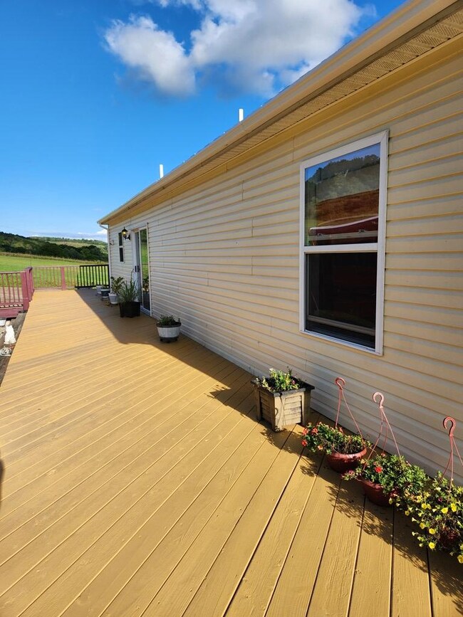 Back deck looking East.