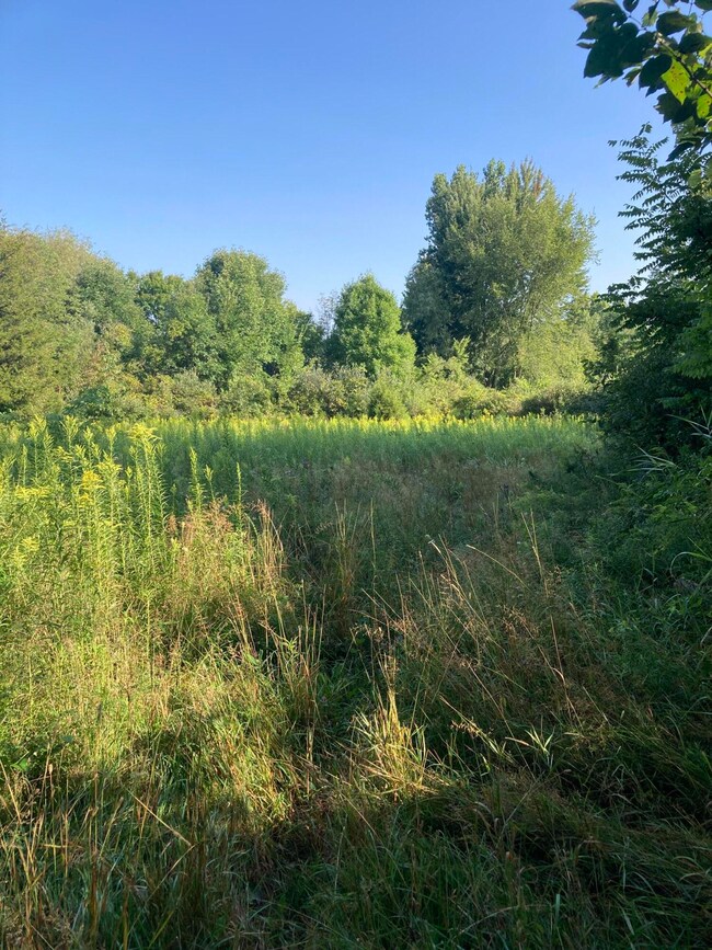 C8194897-0182-4B64-958B-F49AEFD1C87C