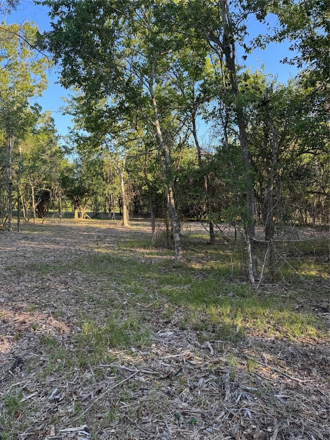 Lot 26 Winding Branch, Chappell Hill, TX 77426 - photo 6