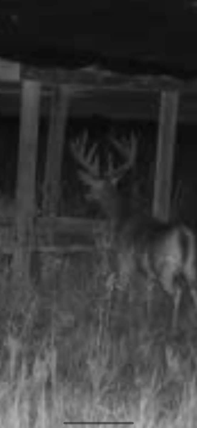 001 Cr 532, Avalon, MS 38917 - photo 2