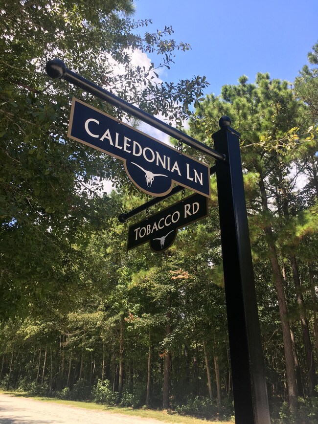 4321 Caledonia Ln, Mount Pleasant, SC 29429 - photo 4