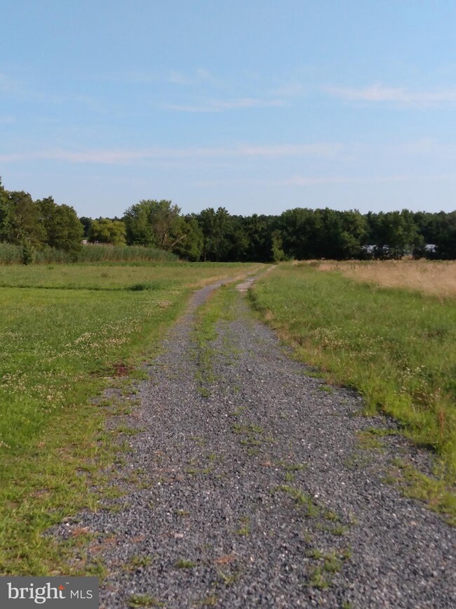 0 Jesterville Rd unit MDWC2000364, Bivalve, MD 21814 - photo 4