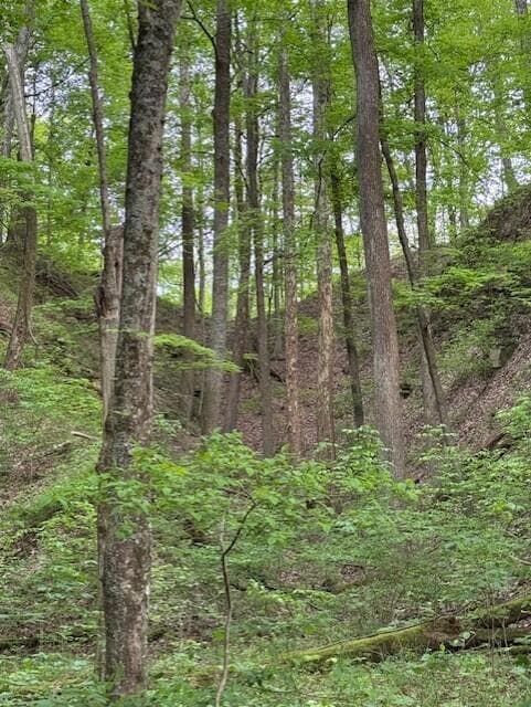 1445 E Branch Rd unit R, Union Township, OH 43758 - photo 5